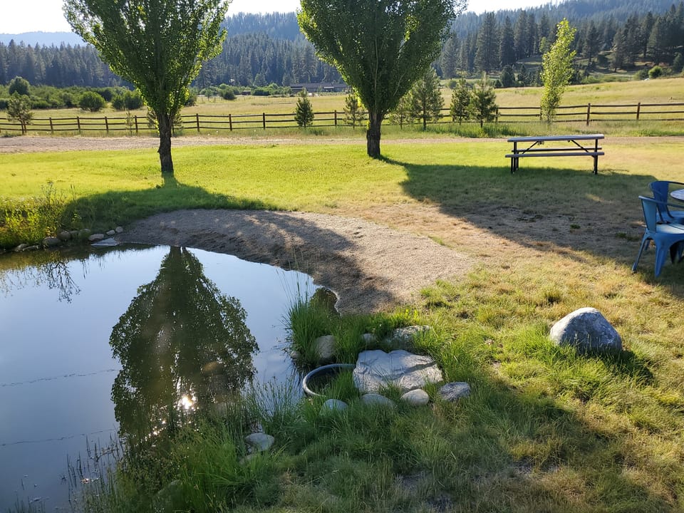 Grassy pond bank with a gravel landing at the water's edge before the second patio