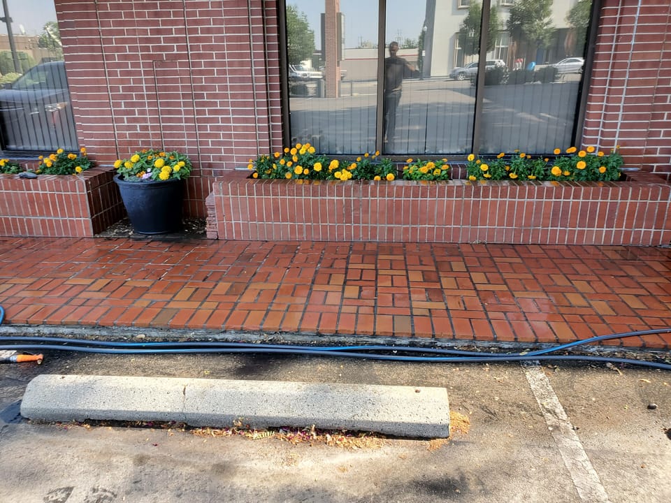 Repointed brick planter walls and washed brick paving in front of the storefront windows